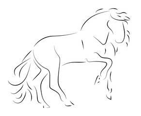 Black line horse