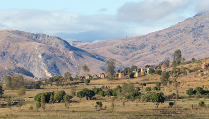 Typical landscape in the south of Madagascar