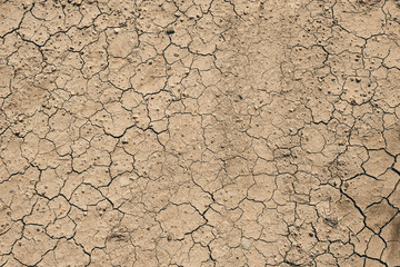 texture of ground terrain lifeless and drained