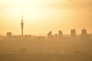 Fototapeta premium The view of Auckland in New Zealand