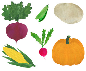 Set of fresh vegetables watercolor illustration vegetarianism ingredients cooking pumpkin potato peas radish beet corn