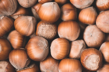 Hazelnuts with shells closeup top view. Autumn season harvesting.