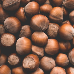 Square image of hazelnuts closeup top view. Autumn season harvesting.