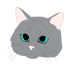 cat portrait, vector, white background