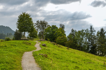 Fototapeta na wymiar Walking trail through green meadows on top of Seebodenalp, above the city of Kussnacht in Switzerland