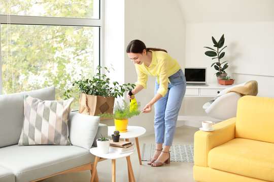 Young Woman Spraying Water On Houseplant At Home