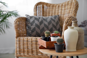 Green succulents with vases on table in room