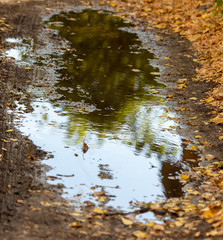 Puddle on a dirt road with autumn reflection