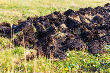 Plowed black soil on nature as a background