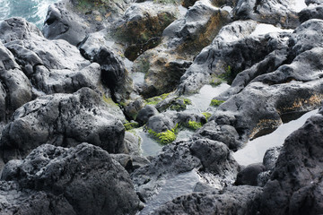Volcanic stones on ocean shore, cold clean water, waves, Madeira island, Portugal