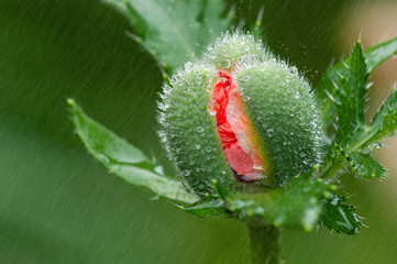 Obraz premium Aufbruch