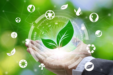 Hand holding with leaf and environment icons over the Network connection on nature background, Technology ecology concept. Environmental protection concept