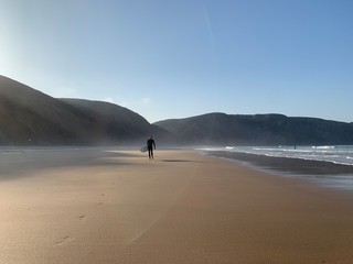 Young surfer are going to the ocean catch the waves