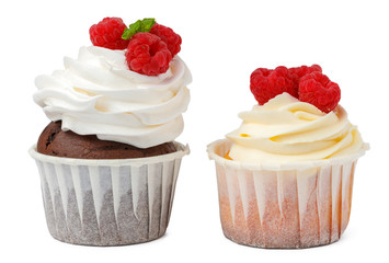 Two cupcakes isolated on white background close up