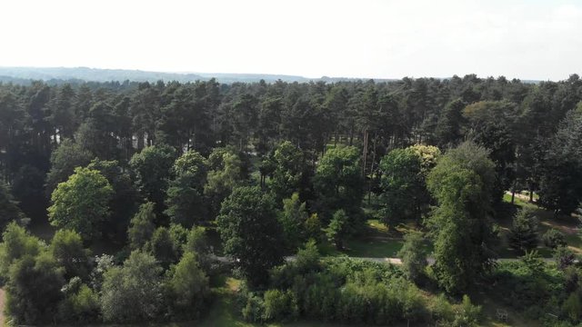 Pinewood Forest Cannock Chase England Countryside Aerial Summer 4K