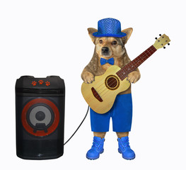 The dog in a blue hat, a bow tie, shorts and boots is playing the acoustic guitar. The loudspeaker is next to him. White background. Isolated.