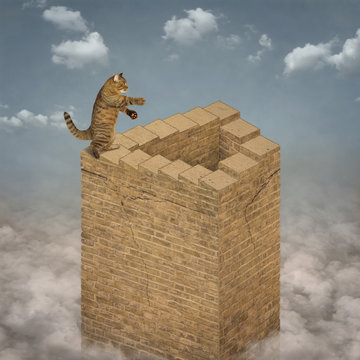 The cat climbs the endless stairs of a high brick tower that rises above the clouds.