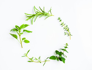 Green herb twigs in a circle isolated on white