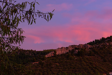 Atardecer, Anochecer en campos de almendros . Benizar, Moratalla,Murcia(España)