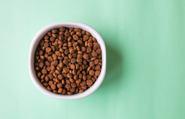 dry pet food for cats cats in a white bowl on a light green background