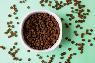 dry pet food for cats cats in a white bowl on a light green background