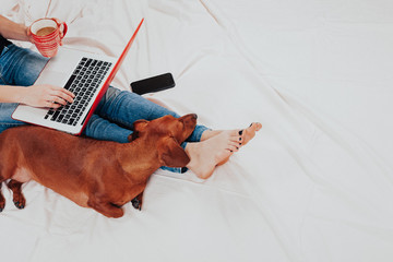 Little girl with doll wearing a protective mask. Copy space. Sadness kid at home in isolation. Sick child Little girls look at the window with longing on the street .