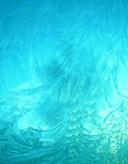 ice flower on glass