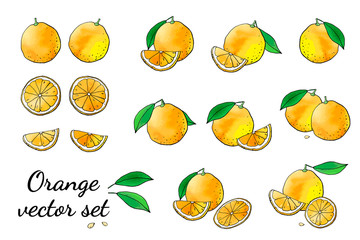Set of orange fruit doodle icons with watercolor texture. Half, slice, leaf . Hand drawn design elements. Summer sweet citrus for juice. For prints, patterns, cards, digital design, decorations.  - 293756600