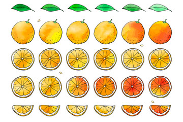 Big set of orange fruit doodle icons with watercolor texture. Half, slice, leaf . Summer sweet citrus for juice. For prints, patterns, cards, digital design, decorations. Hand drawn design elements.  - 293756609