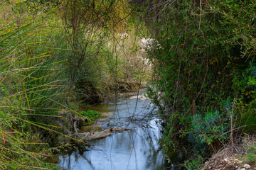 Fototapeta na wymiar Arroyos en los bosques de Benizar ,Moratalla,Murcia(España)