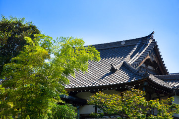 Tokyo, Japan, Ueno Park famous Buddhist temple, Buddhist temple Buddhist temple