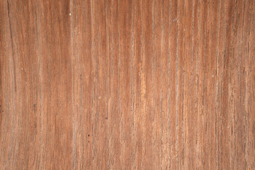 wood background which can be used as backdrop or wallpaper