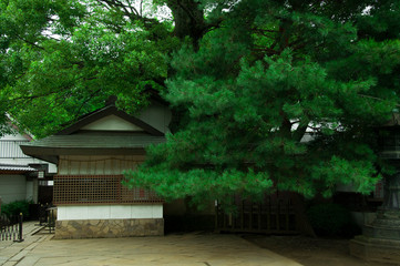 Tokyo, Japan, Ueno Toshogu Shrine, Historic Building,