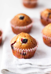 berries muffins or cupcakes with mint leaves on white texture. 