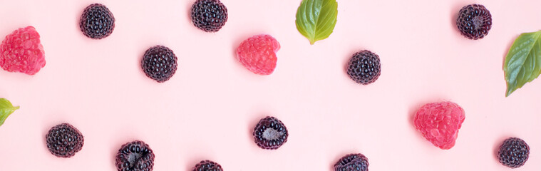 Summer berries black and red raspberries are sprinkled on a pink background.Top view,banner.