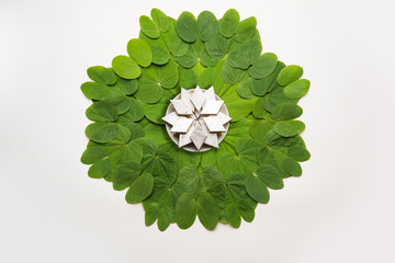 Indian Festival Dussehra, symbolic Golden or Piliostigma leaf or Bauhinia racemosa also known as...