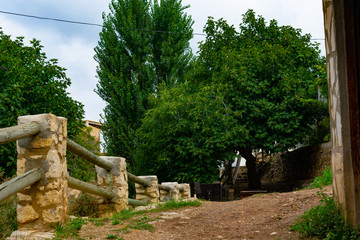 Aldea de Benizar, situado a mas de 800 sobre el nivel del mar , pertenece a Moratalla en región de...
