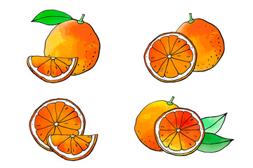 Orange fruit icons with watercolor texture. Vector stock set. Cute doodles. Summer fruit, bright citrus for lemonade and cocktail. Can be used for printed materials. Hand drawn design elements