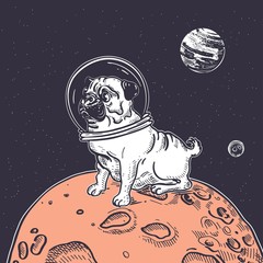 Pug astronaut is sitting on a red planet in space. © Tutsi_N