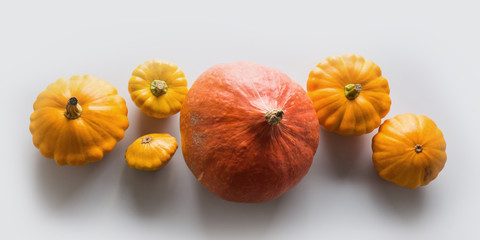 Banner of fresh orange pumpkin and pattypan squash on grey background with copy space. Top view. Flat lay Template for your design.