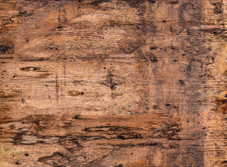 Brown wood texture