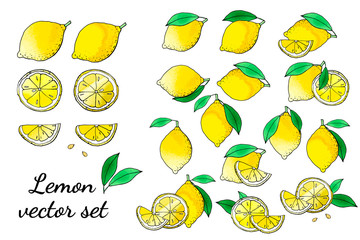 Lemon fruit icons with watercolor texture. Vector stock set. Cute doodles. Summer fruit, bright citrus for lemonade and cocktail. Can be used for printed materials. Hand drawn design elements