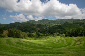 大山千枚田