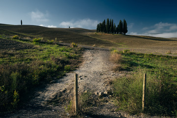 autumn on hill hills of tuscany italy during a foggy day morning