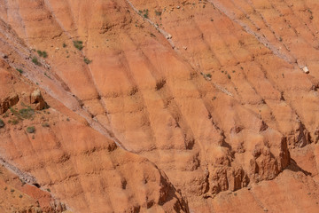 USA Valley of Fire / Utah / Monument Valley / Landschaft