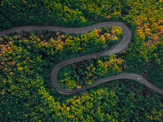 Beautiful serpent road in the forest