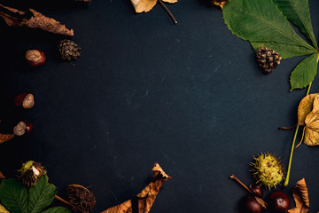 frame of leafs, chestnuts and dry elements, colorful autumn decoration