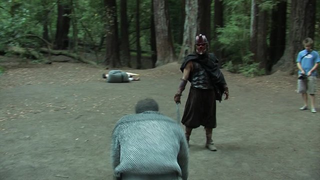 Medieval knight impales in battle