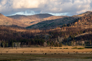 Obraz premium USA Valley of Fire / Utah / Monument Valley / Landschaft