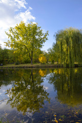 Fototapeta na wymiar View of autumn lake in city park, yellow - green trees reflect in water. Autumn landscape.
